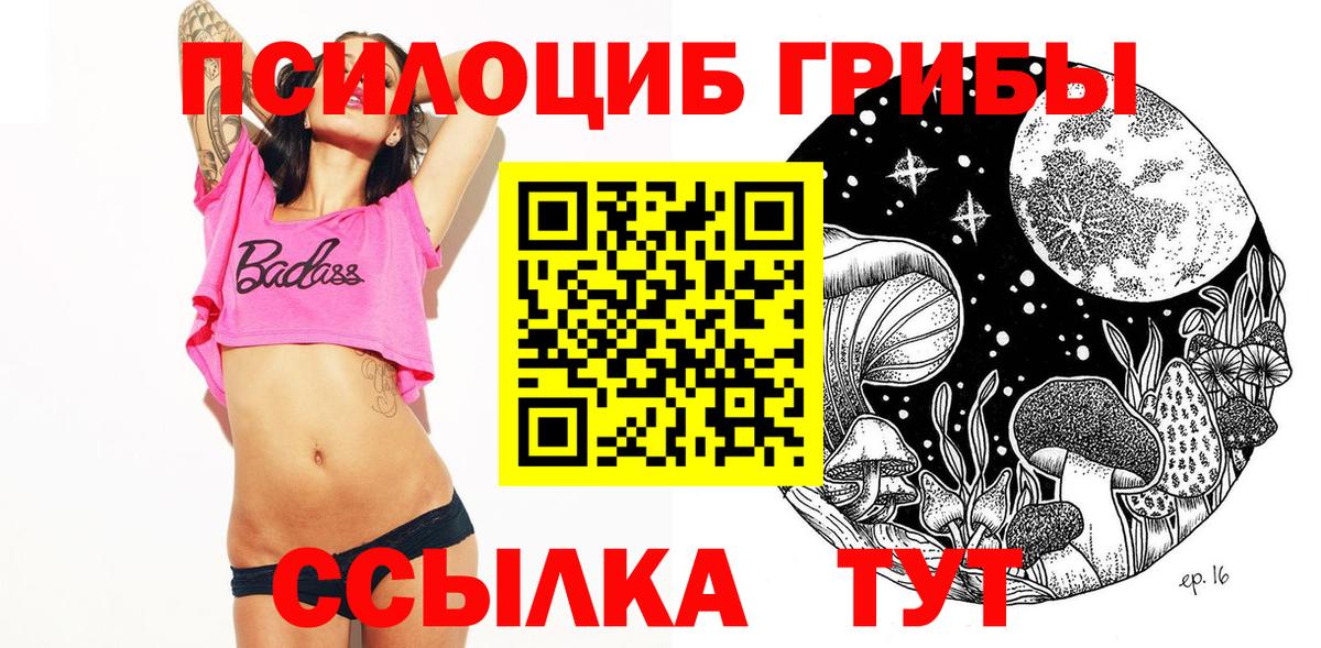 Псилоцибиновые грибы Cubensis Азов