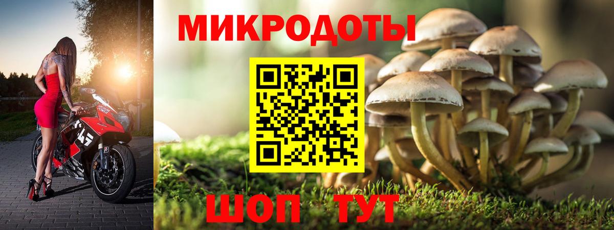 где продают   Вход с VPN  Азов  Псилоцибиновые грибы Psilocybe 